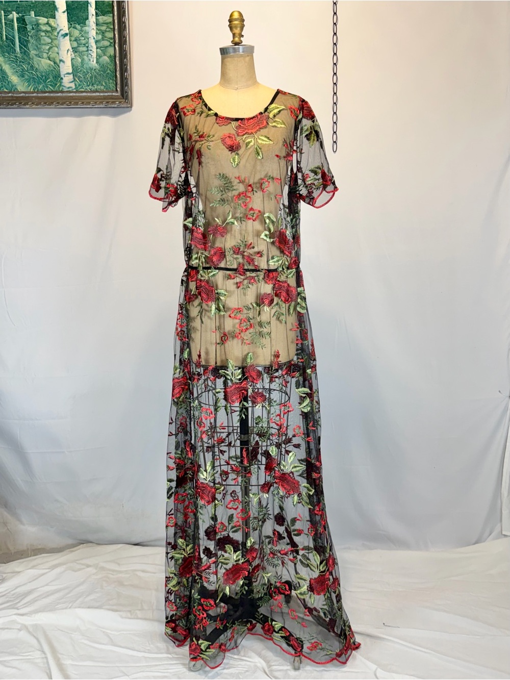 Rose embroidered black sheer mesh dress long maxi overlay floral flower gothic - Picture 5 of 8